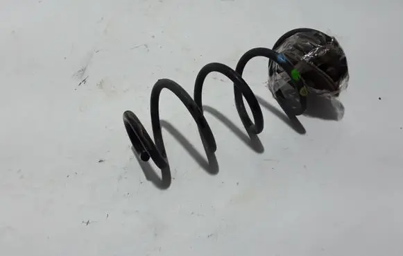 Dacia Sandero III Rear coil spring 550201532R
