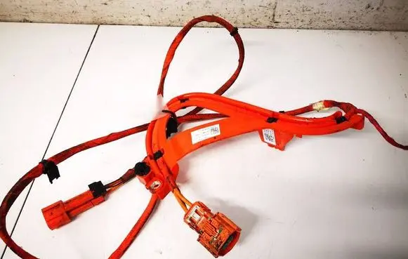 Tesla Model 3 Other wiring loom 150797105E