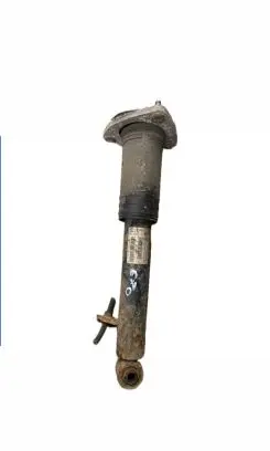 BMW X5 E70 Rear shock absorber/damper 6781926