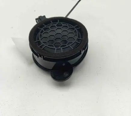 Panel speaker
