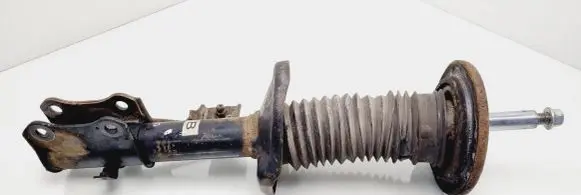 Suzuki Grand Vitara II Front shock absorber/damper 4160165J00