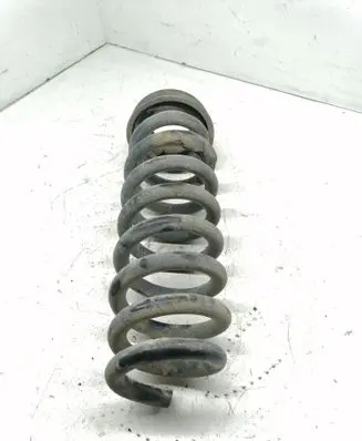 Rear coil spring