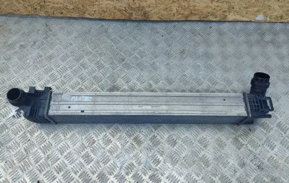 Dacia Duster Intercooler radiator 8200880552 MM1133F 1300032421