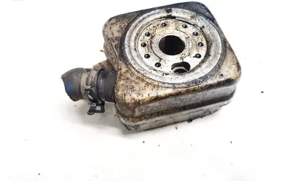 Volkswagen Golf V Engine oil radiator 028117021l