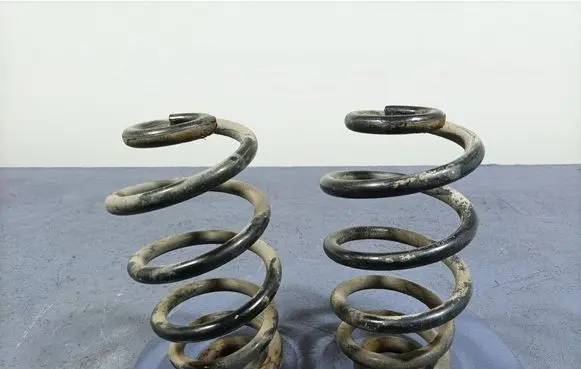 Rear coil spring
