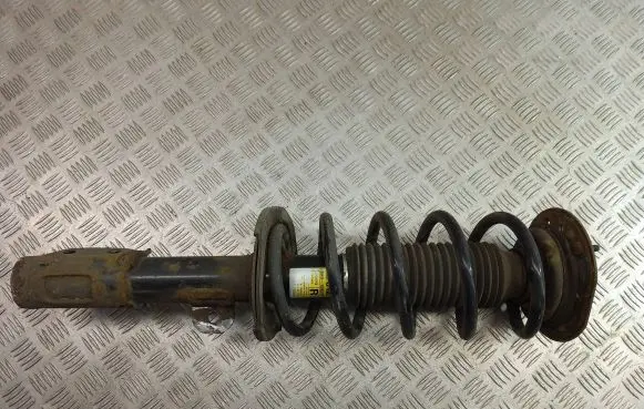 Chevrolet Captiva Front shock absorber with coil spring 20945998