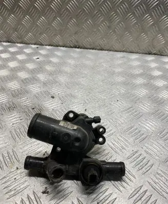 Thermostat/thermostat housing