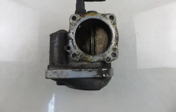 Throttle body valve