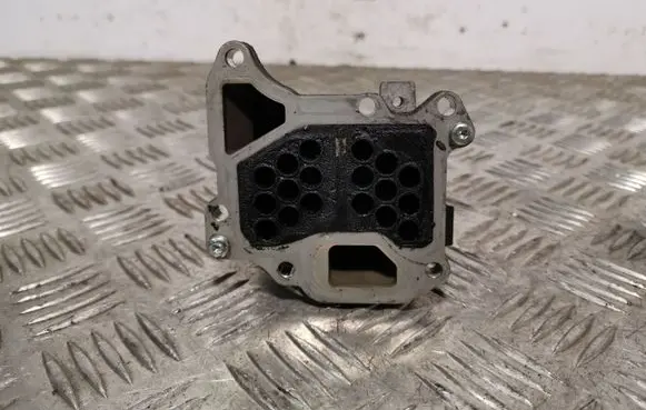 Ford Ecosport EGR valve cooler