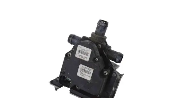 Tesla Model S Electric auxiliary coolant/water pump 600738400B
