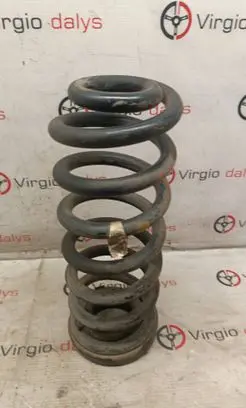 Rear coil spring