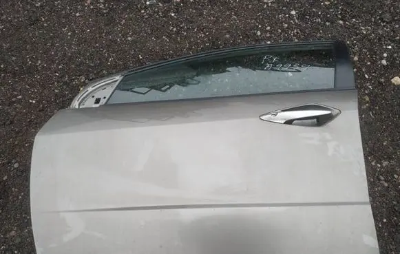 Honda Civic Front door rudos