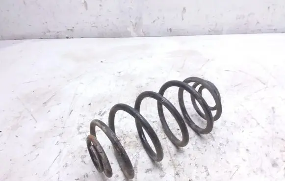 Rear coil spring