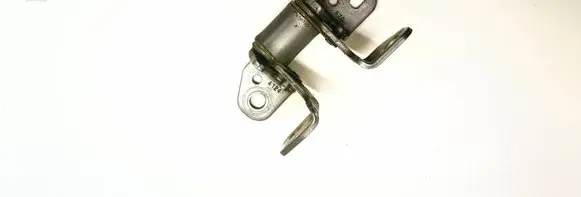 Chrysler 300C Rear door lower hinge