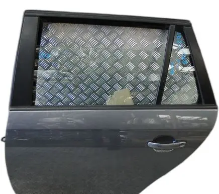 Volkswagen Golf V Front door 