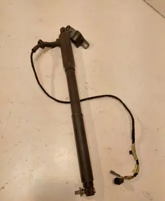 Tailgate strut