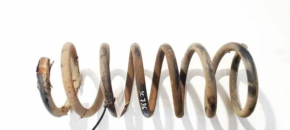 Ford S-MAX Rear coil spring