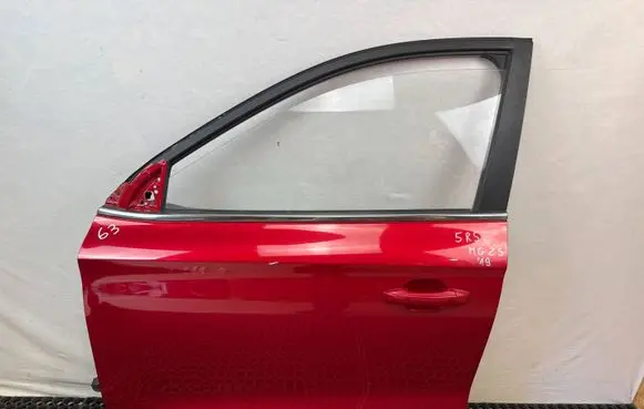 MG ZS Front door 