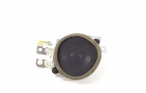 Lexus LS 460 - 600H Front door speaker 