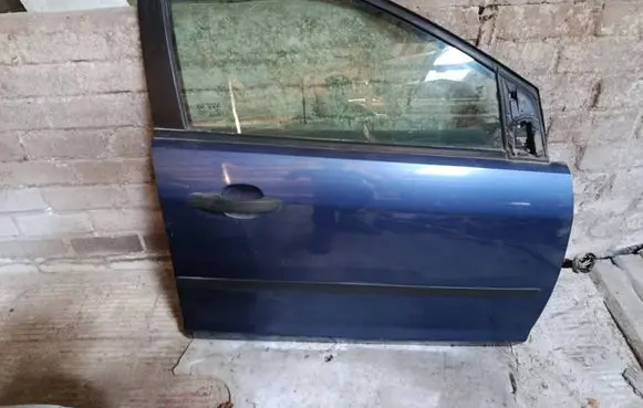 Ford Focus Front door