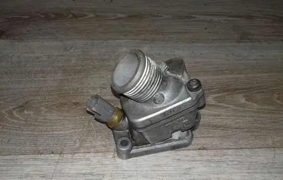 Thermostat/thermostat housing