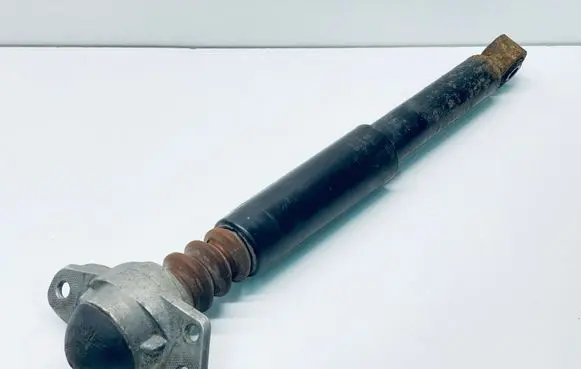 Volkswagen Golf Plus Rear shock absorber/damper 1K0513029FK