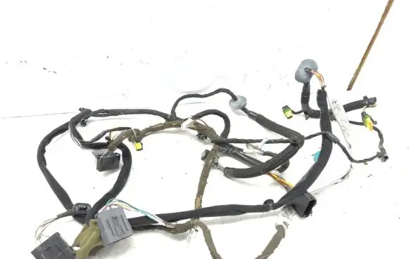 Front door wiring loom