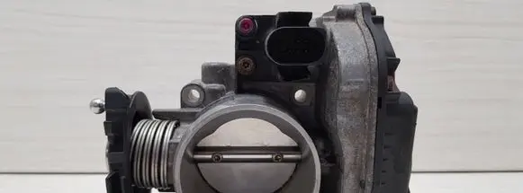 Throttle body valve