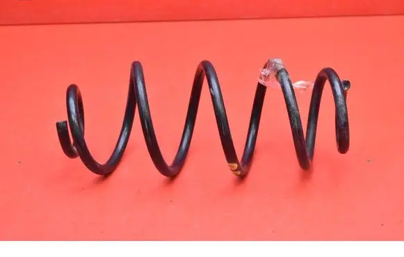 Rear coil spring