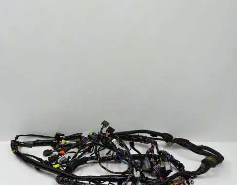 Tesla Model S Other wiring loom 100441701H