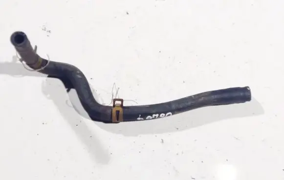 Renault Scenic I Engine coolant pipe/hose