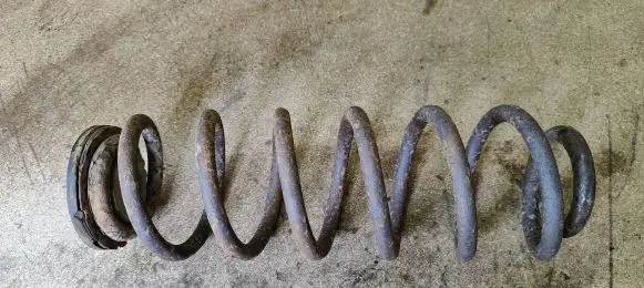 Volkswagen PASSAT B6 Rear coil spring