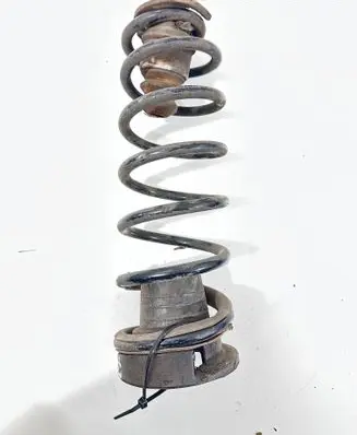 Rear coil spring