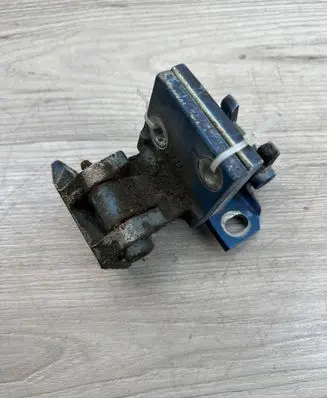Peugeot 406 Front door hinges set 