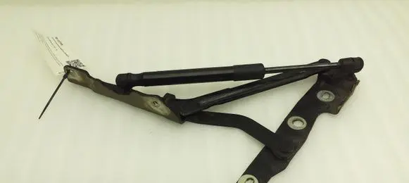 Ford Mustang V Tailgate/trunk/boot hinge AR3363406A10AA