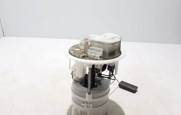 Citroen C4 III e-C4 In-tank fuel pump 9842660580