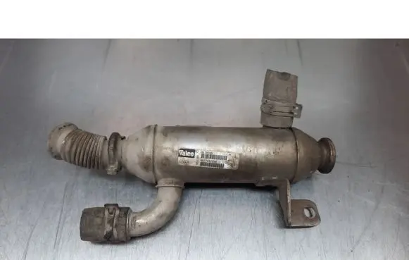 Citroen Berlingo EGR valve cooler