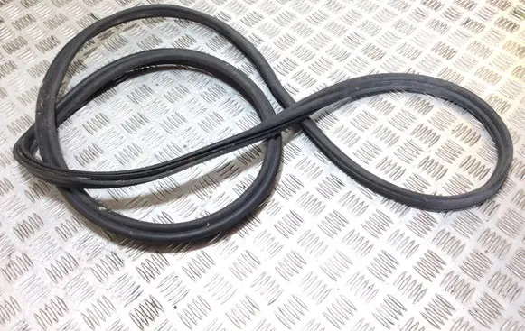 Trunk rubber seal (body)