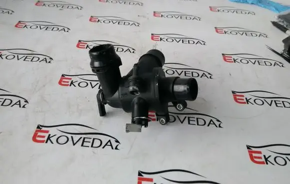 Thermostat/thermostat housing