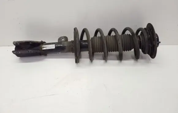 Chevrolet Captiva Front shock absorber with coil spring 95166267