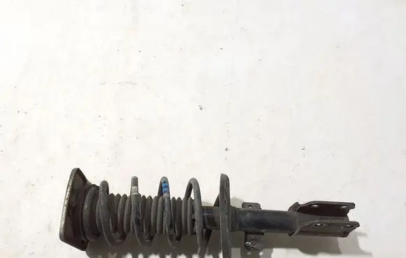 Peugeot Expert Front shock absorber/damper 9821596780