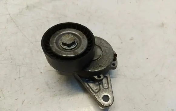 Volkswagen Tiguan Timing belt tensioner 04L903315