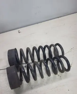 Rear coil spring