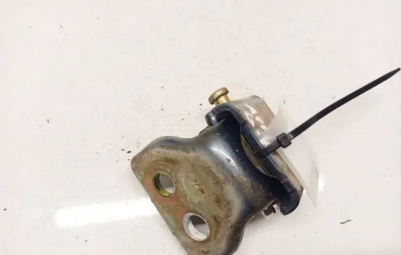 Peugeot 407 Rear door lower hinge 