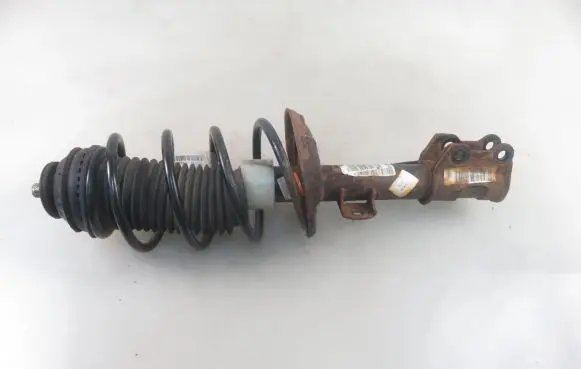 Front shock absorber with coil spring