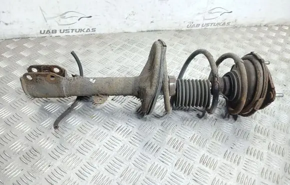 Toyota RAV 4 (XA20) Front shock absorber/damper