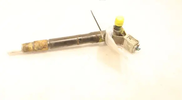 Mazda 2 Fuel injector S56013H50