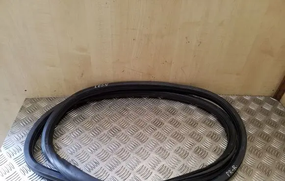 Seat Leon (1P) Front door rubber seal