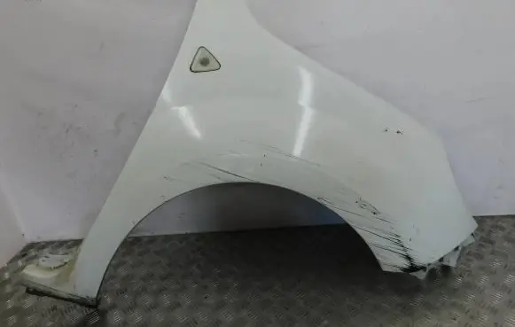 Renault Kangoo II Fender