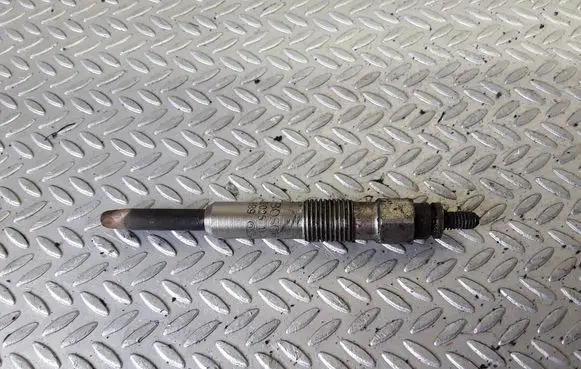 Renault Scenic I Glow plug 0250202025